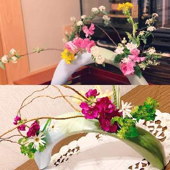 お気に入りの器や花瓶と植物の画像 by ペンクロズさん | 花器と花のある暮らし...♪*ﾟとお気に入りの器や花瓶と植物