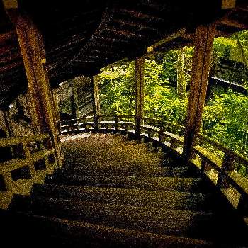 京都 永観堂の画像 by ひろさんさん | お出かけ先と京都 永観堂