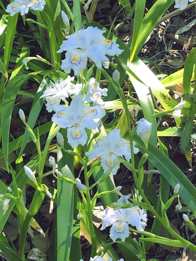 jutaさんの横浜公園への投稿