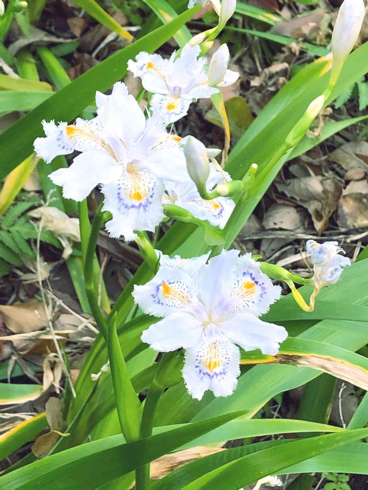 jutaさんの横浜公園への投稿