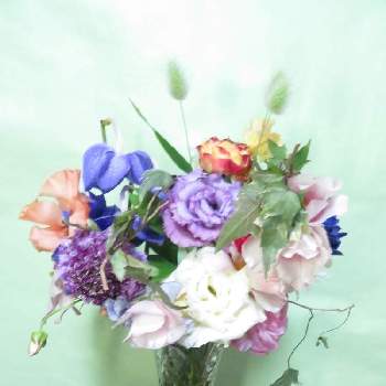 カラフルな花の投稿画像一覧 Greensnap グリーンスナップ