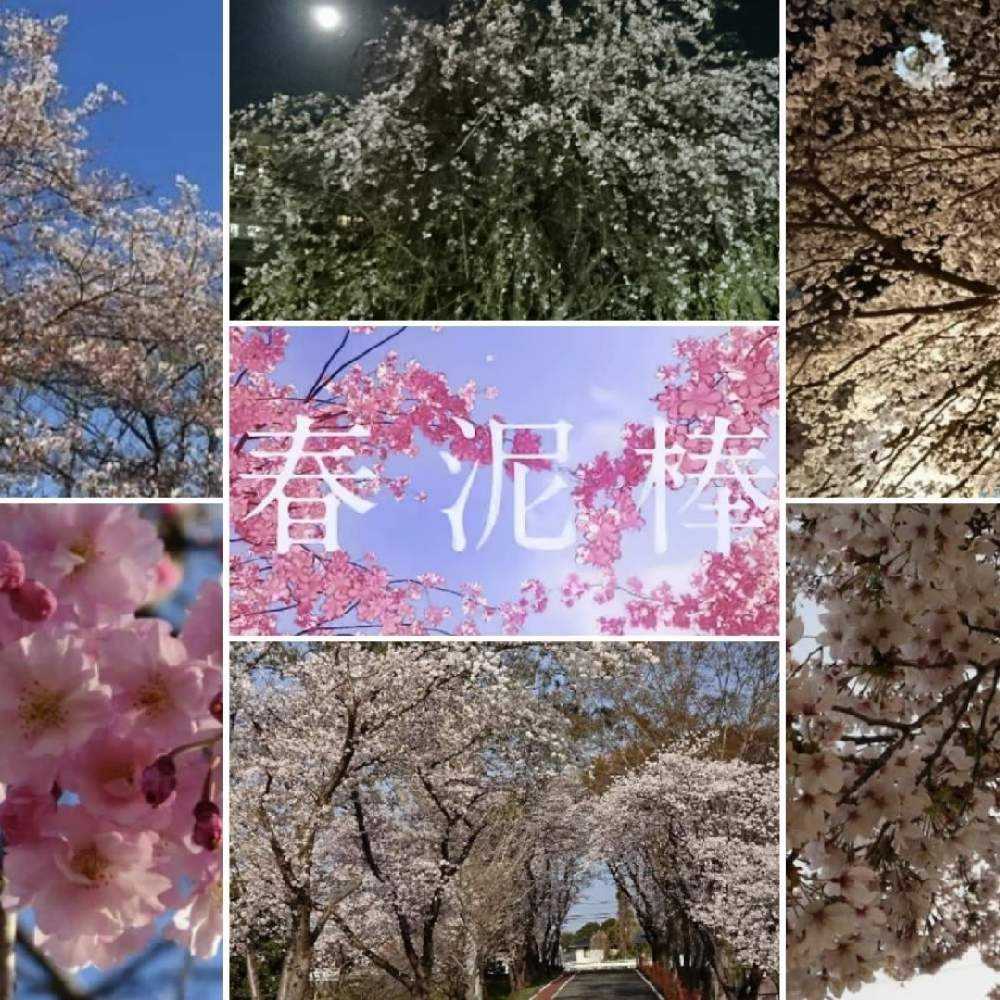 ヨルシカ Greensnap グリーンスナップ