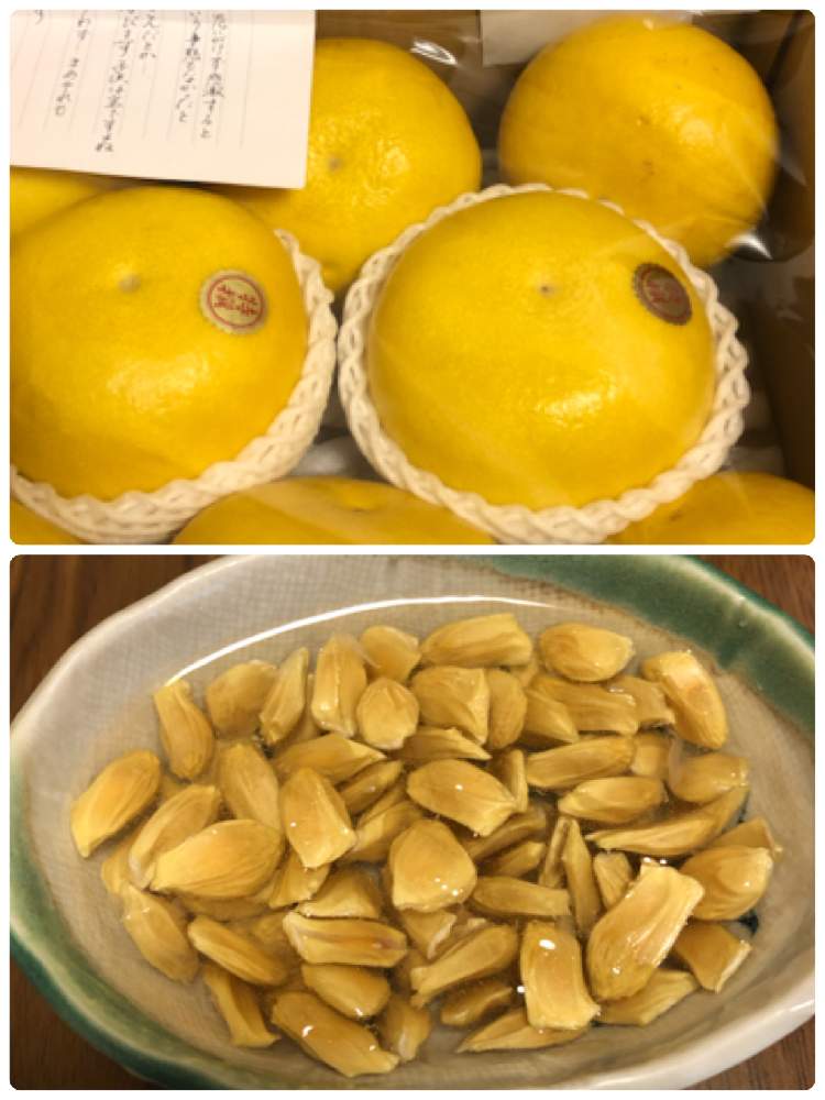 文旦の投稿画像 By たかりえさん 土佐文旦 パールカンとありがとう とダメ元と食べ蒔き 21月3月6日 Greensnap グリーンスナップ