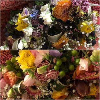 花束 の投稿画像一覧 Greensnap グリーンスナップ