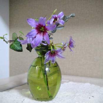 飾ってみたの画像 by •✴•❃　優雨　❃•✴•さん | 部屋とリューココリネの花と花いっぱいプロジェクトと飾ってみたと花のある暮らしと紫の花