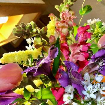 こころがほっこりの画像 by HAPPY❤️Sさん | アルストロメリアと金魚草と花のある暮らしとお祝いとこころがほっこりとうちのお店