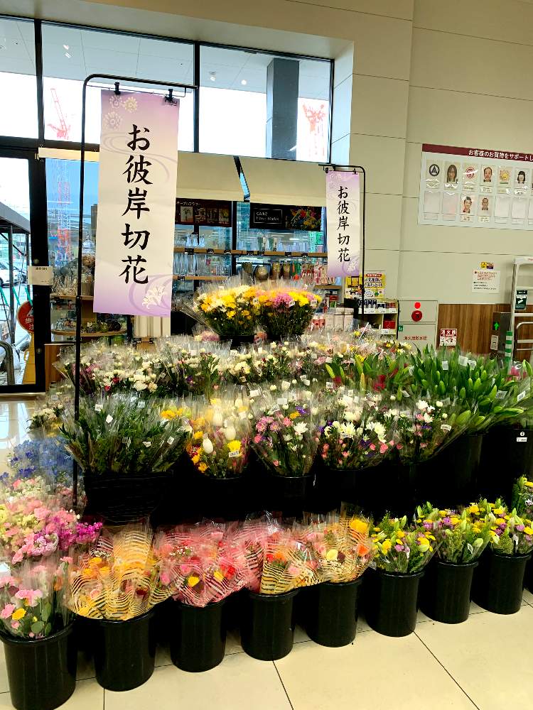 お出かけ先の投稿画像 By カインズさん 春のお花と入荷情報 とカインズとホームセンターと春のお彼岸とお墓参りとカインズ浦和美園店とcainzとカインズ ホームと切り花と春のお花と入荷情報 とカインズとホームセンターと春のお彼岸とお墓参りとカインズ浦和美園店と