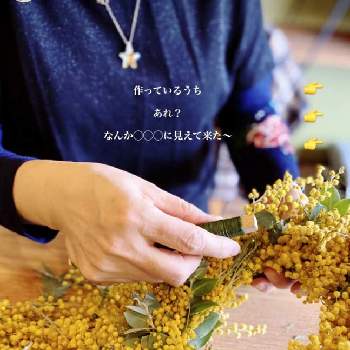 ミモザ  アカシアの画像 by mimimiさん | インテリアとミモザのリースと花のある暮らしとミモザ  アカシア