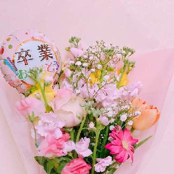 過去の花メモの投稿画像一覧 Greensnap グリーンスナップ