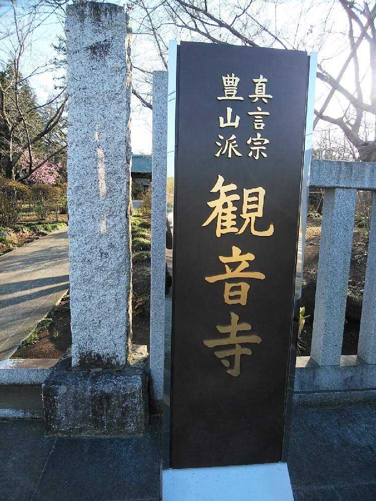 観音寺 ぼたん寺 1 21 03 15 21 03 26更新 Greensnap グリーンスナップ