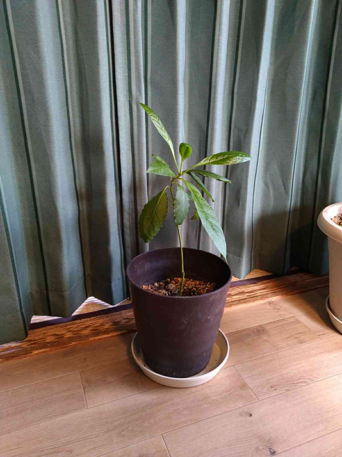 1615849454990_969788_20210316_