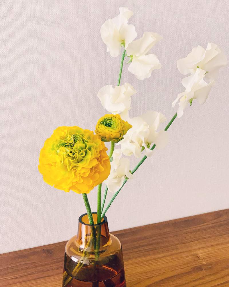 スイートピーの投稿画像 By Izuminさん ラナンキュラスと部屋と切り花と花瓶と花のある暮らしと切り花と花瓶と花のある暮らし 21月3月18日 Greensnap グリーンスナップ Greensnap グリーンスナップ
