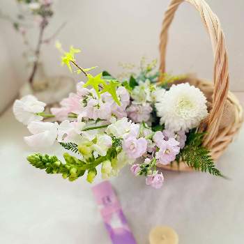 春分の日の画像 by メルシーフラワーさん | スーパーマーケットの花とスーパーの花屋さんと春分の日と春の訪れと花を飾るとスーパーの切花とハナカジとメルシーフラワーと春のお彼岸とフラワーアレンジメント