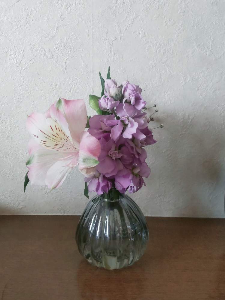 アルストロメリアの投稿画像 By ハイオクさん かすみ草とストック カルテットと花のある暮らしと魔法の花瓶 21月3月18日 Greensnap グリーンスナップ