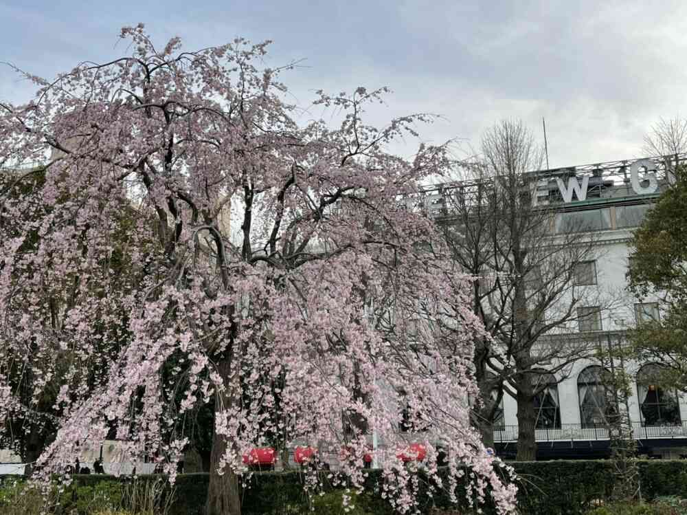 ハリソンさんの山下公園への投稿