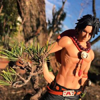 ポートガス ｄ エース 白ひげ海賊団 二番隊隊長の投稿画像一覧 Greensnap グリーンスナップ