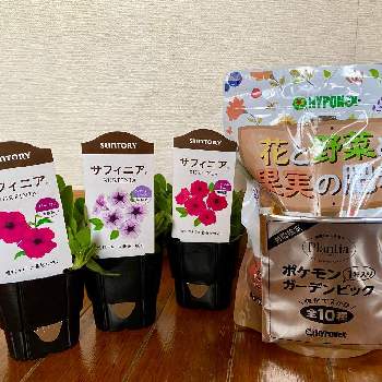 ありがとうございましたの投稿画像一覧 Greensnap グリーンスナップ