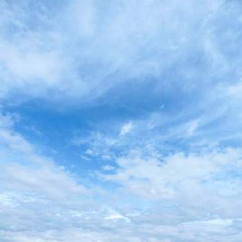 雲取りの画像 by m＆oさん | お出かけ先と水辺の風景と都立水元公園と今朝の散歩道です。と雲仲間と空撮りと今朝の１枚と雲取り