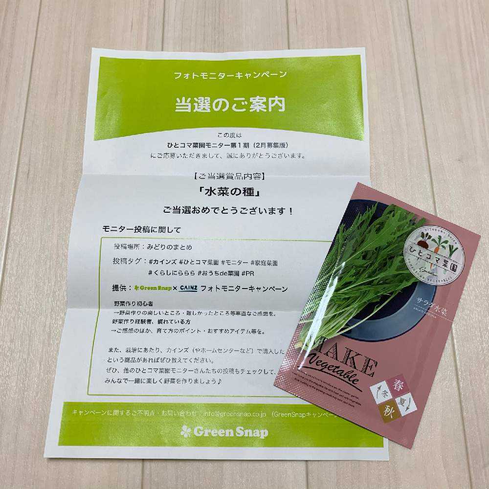 水菜の栽培日記 Greensnap グリーンスナップ