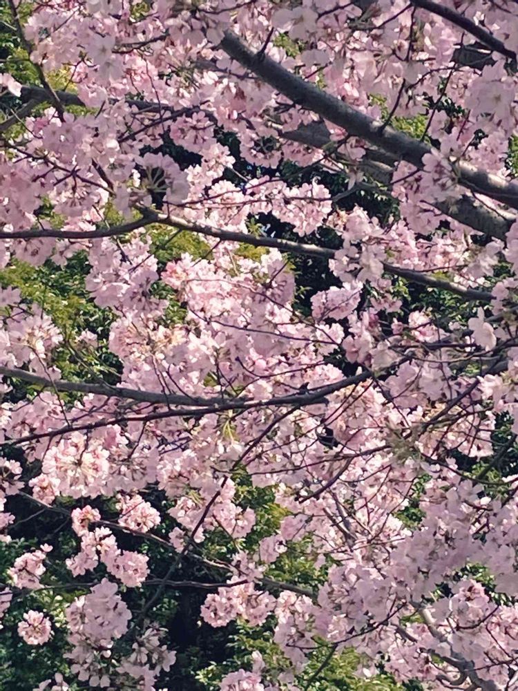 jutaさんの横浜公園への投稿