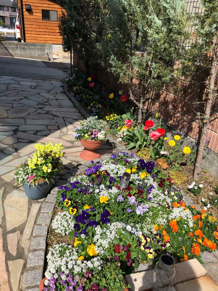 玄関の投稿画像 By たかっちさん 21月3月25日 Greensnap グリーンスナップ