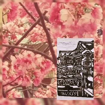 絵手紙の画像 by ヨシさんさん | 広い庭と消しゴムはんことお花を楽しむと絵手紙とお花大好きと花いっぱい！とおうち園芸とお花のある暮らしとさくら 桜 サクラと『2021桜』フォトコンテスト