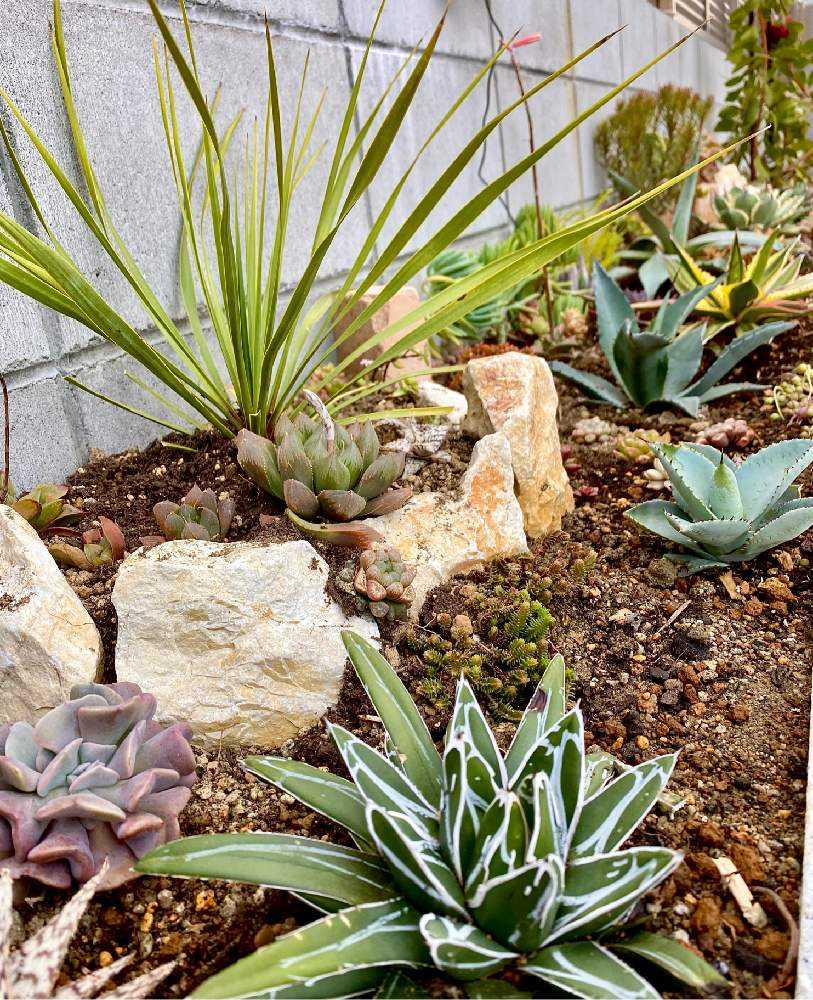 1616851846553_thum_236679_phot