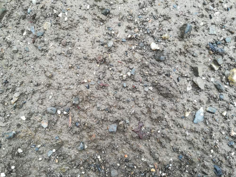 用土配合履歴 Greensnap グリーンスナップ 用土配合履歴 Greensnap グリーンスナップ