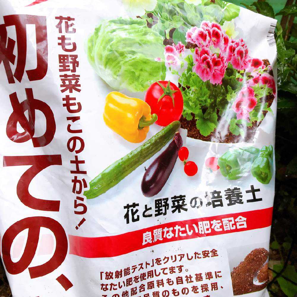 カインズ の ひとコマ菜園 水菜の種 モニター 終 Greensnap グリーンスナップ