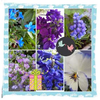 ㊗️まこちゃん1000picの画像 by じゅんさん | インテリアと㊗️lalamさん800picと(祝)チーム・ブルー1周年とチームブルーNO.076と花は・花は・花は咲くと春よ来い、早く来いと㊗️PONJIさん3100picとコロナに負けるな！といやし♡と医療関係者に感謝‼️としあわせ運べるようにと自然の美と青いスミレ科マニアと今日も一日お元気でと青い花マニアとチーム・ブルーと『ひとりじゃない、繋がろう』と㊗️まこちゃん1000picと頑張ろう日本❣️