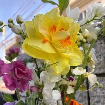 フラワーステッカーの画像 by gurichannel(ぐりちゃんねる) さん | お出かけ先と仏花と水仙♡︎とフラワーステッカーと花粉症と春の訪れ