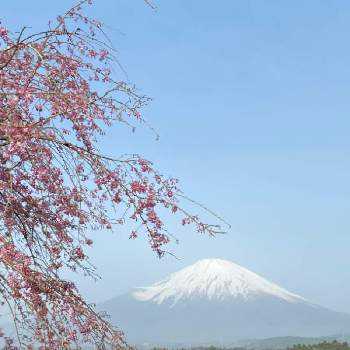 富士山のある風景の投稿画像一覧 Greensnap グリーンスナップ