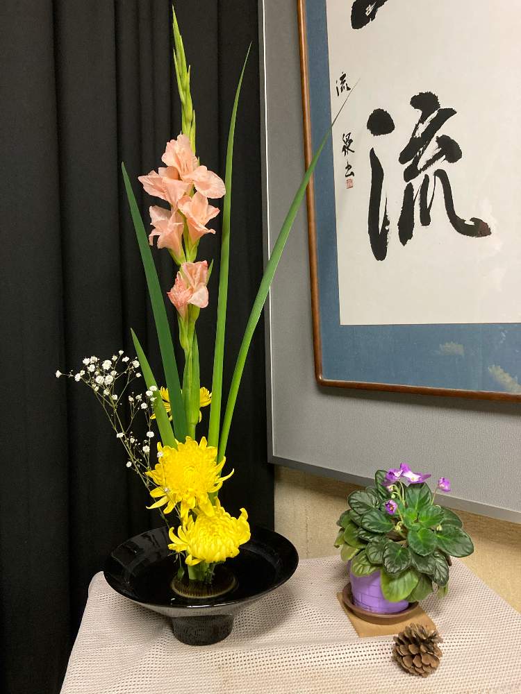 キクの投稿画像 By 一隅照 さん グラジオラスとかすみ草とオクロレウカといけばなと池坊といけばなと池坊 21月3月30日 Greensnap グリーンスナップ Greensnap グリーンスナップ