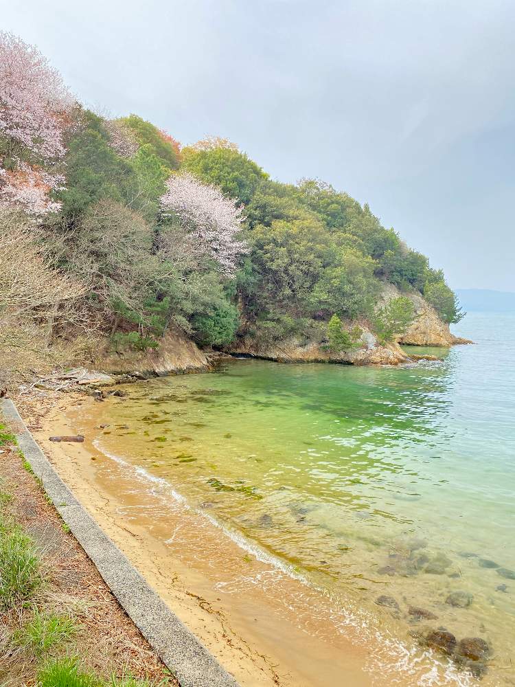 海の見える景色の投稿画像 By おちょさん 綺麗なミドリと海の景色ときれいな色ときれいな景色と公園の花と小さな公園 21月3月31日 Greensnap グリーンスナップ