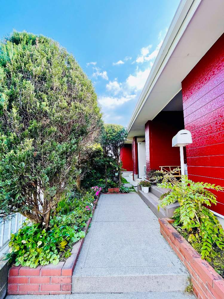 植木の投稿画像 By Haruさん 柊 ひいらぎ とアジサイ 紫陽花と クリスマスローズと北玄関の花壇と春に育てた花21 とアザレア とアザレア鉢植えとアザレア地植え 21月3月31日 Greensnap グリーンスナップ