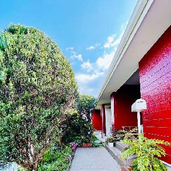 北玄関の花壇の投稿画像一覧 Greensnap グリーンスナップ