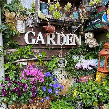 Gardenカフェ風 の投稿画像一覧 Greensnap グリーンスナップ