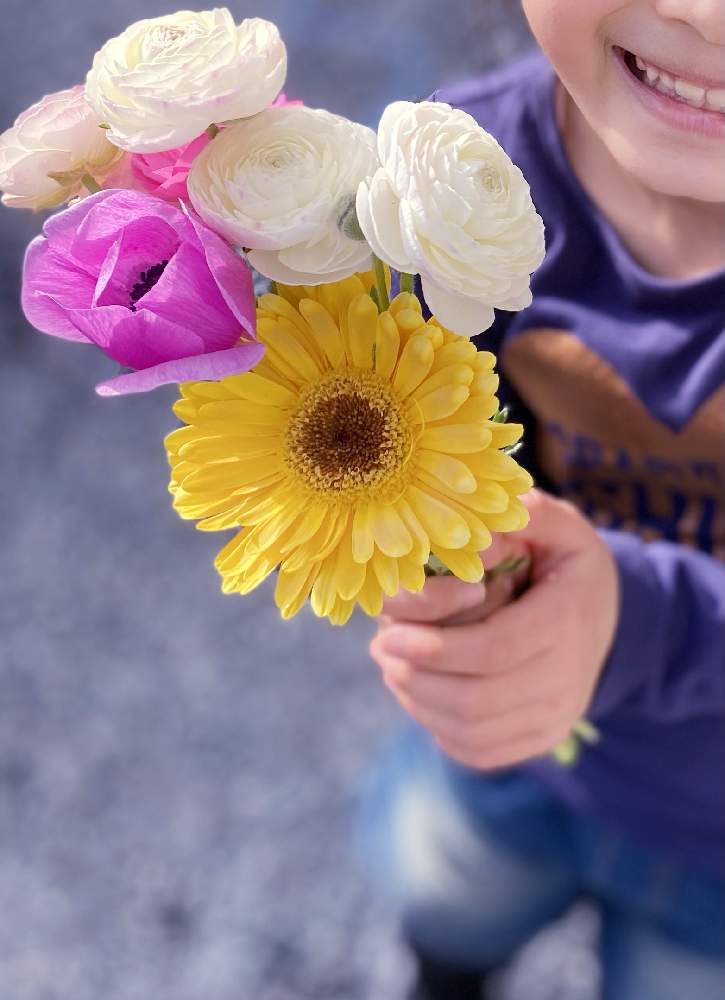 アネモネの投稿画像 By Nyakiさん ガーベラとラナンキュラス と 秋植え球根21 フォトコンテストと開花と秋植えと球根からと球根から育てると可愛い と ラナンキュラスと可愛いとかわい と アネモネと ガーベラと花束 21月3月31日 Greensnap グリーン