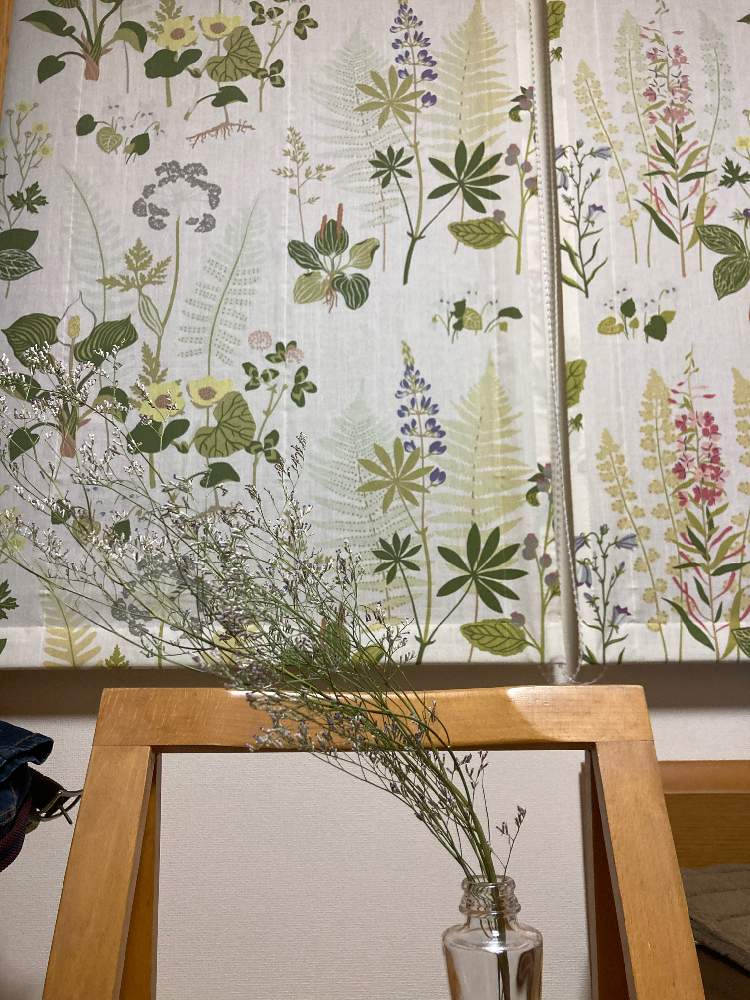 癒しのインテリアの投稿画像 By ともちゃんさん 北欧大好き とチーム愛知 21月3月31日 Greensnap グリーンスナップ