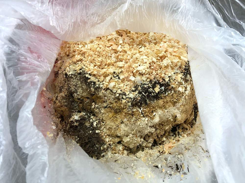 完熟発酵馬糞堆肥の投稿画像 By 茉莉花さん 堆肥作りと発酵促進補助剤とおうち園芸と発酵促進剤とemボカシと部屋と完熟発酵馬糞堆肥と堆肥作りと発酵促進補助剤とおうち園芸と発酵促進剤とemボカシ 21月4月1日 Greensnap グリーンスナップ Greensnap