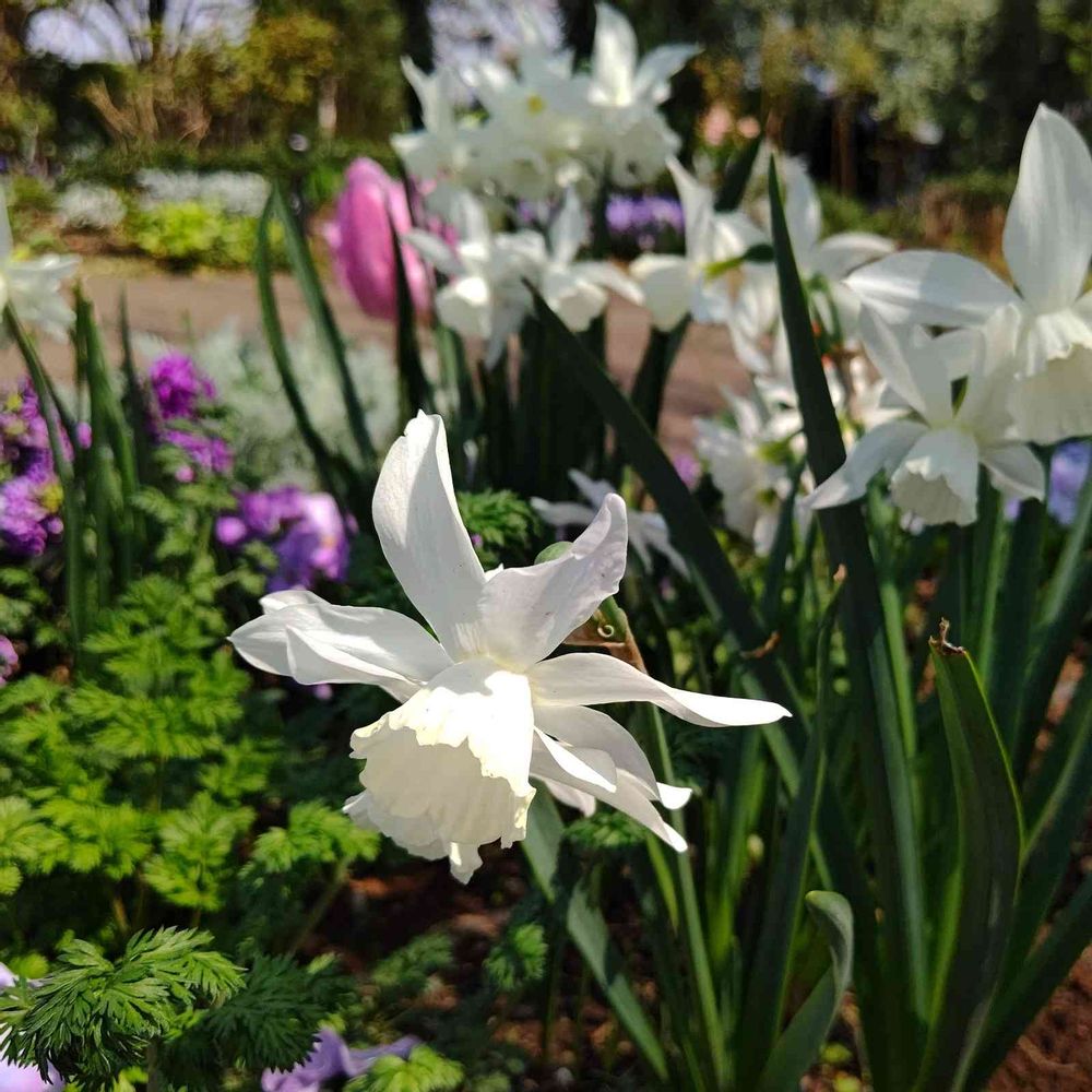 Aito Toyoakeさんの港の見える丘公園への投稿