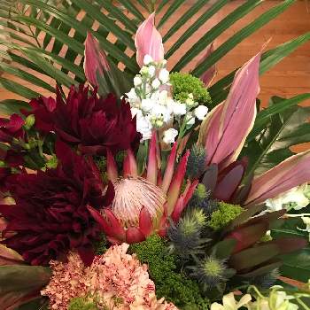 退職の花束の投稿画像一覧 Greensnap グリーンスナップ