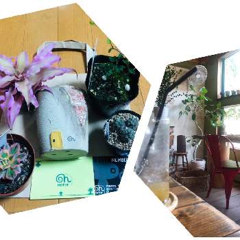 隠れカフェの画像 by オカピさん | お出かけ先と多肉植物と福岡と観葉植物とナチュラと隠れカフェと多肉屋さん