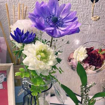 ドライフラワーいろいろの投稿画像一覧 Greensnap グリーンスナップ