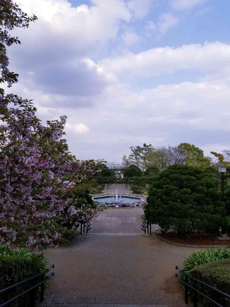 エリィさんの港の見える丘公園への投稿