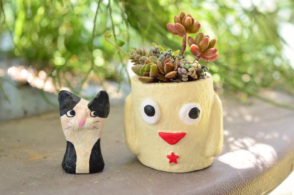 エルネスティの投稿画像 By しろさん 虹の玉とレモータとパープルへイズとセダム属と多肉植物とクラッスラ属と寄せ植えとクラッスラが好き過ぎるとおもちゃと緑とおきにいりとリメ鉢と植え替えフェスと小さい かわいいとかわいいな とおもちゃと多肉と現実逃避 21月