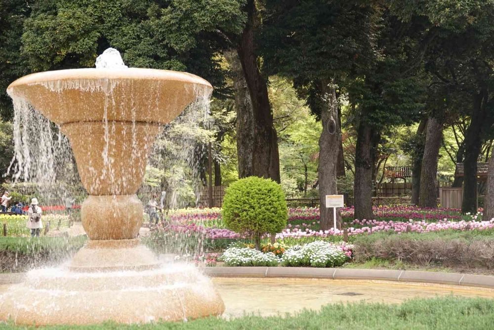 serendipityrumiさんの横浜公園への投稿