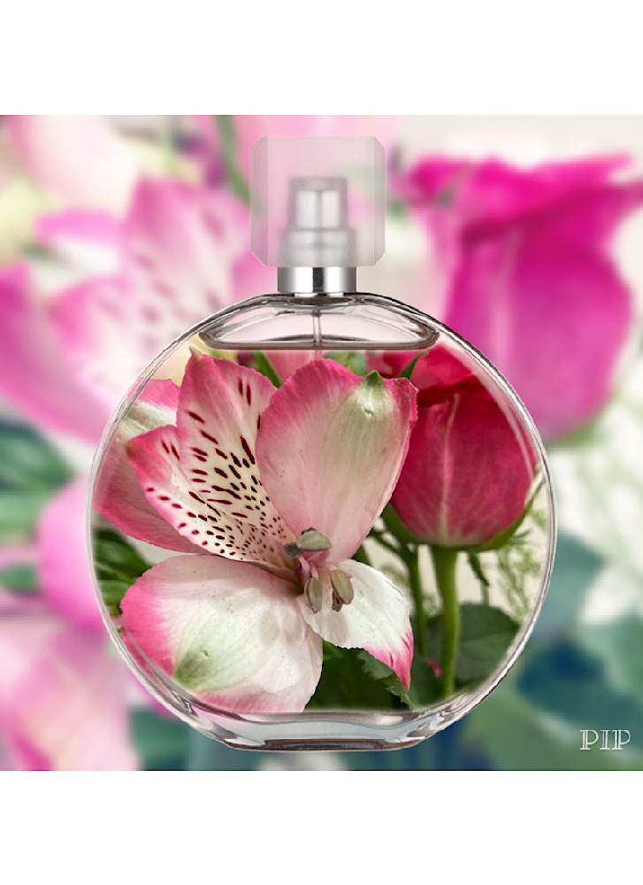 アルストロメリアの投稿画像 By Myu さん 切り花と今日のお花 21月4月4日 Greensnap グリーンスナップ