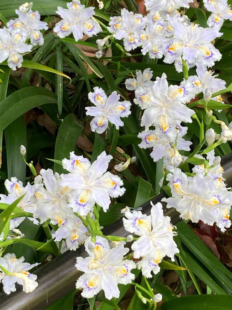 jutaさんの横浜公園への投稿