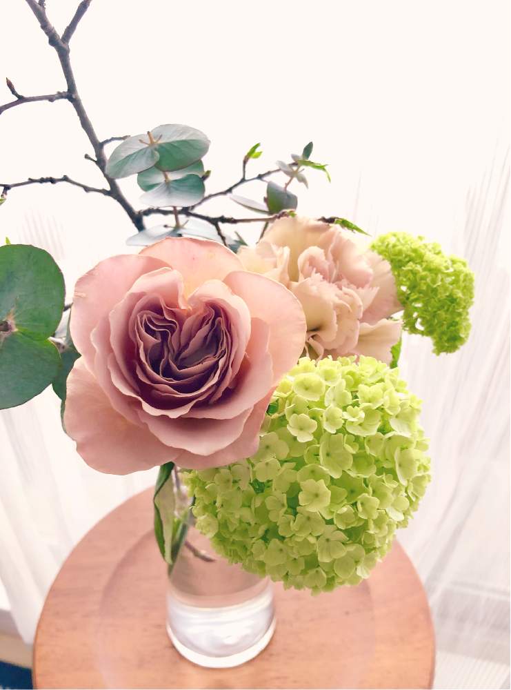 スノーボールの投稿画像 By Mimoza さん バラ カフェラテとカーネーション ロドムアルファとユーカリ シルバーダラーと春のお花とno Flower No Lifeと花と緑のある暮らしとお花のサブスクとブーケと切り花と春のリビングフラワーフォトコン 21月4月4日